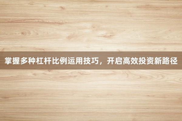 掌握多种杠杆比例运用技巧，开启高效投资新路径