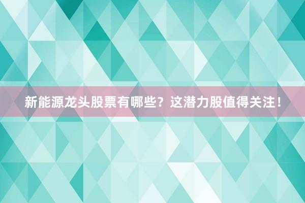 新能源龙头股票有哪些？这潜力股值得关注！