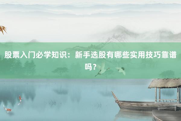 股票入门必学知识：新手选股有哪些实用技巧靠谱吗？