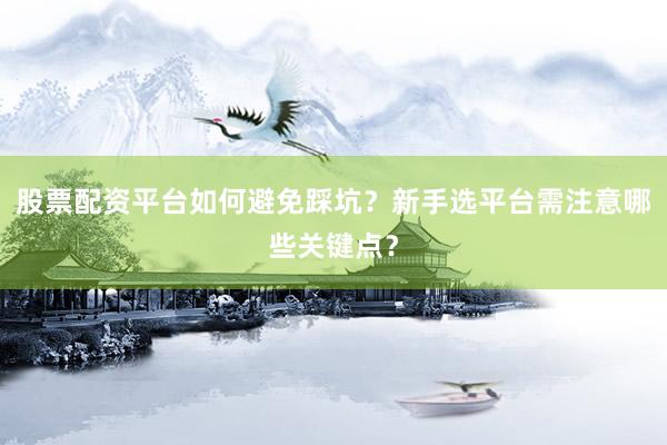 股票配资平台如何避免踩坑？新手选平台需注意哪些关键点？