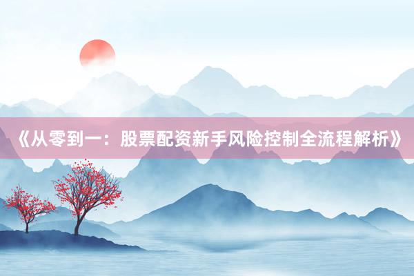 《从零到一：股票配资新手风险控制全流程解析》