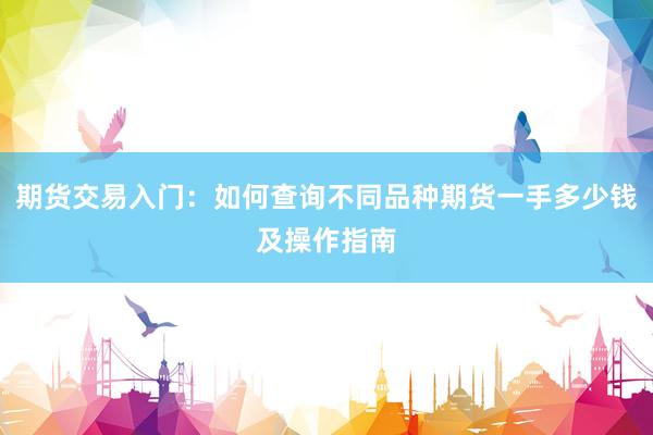 期货交易入门：如何查询不同品种期货一手多少钱及操作指南
