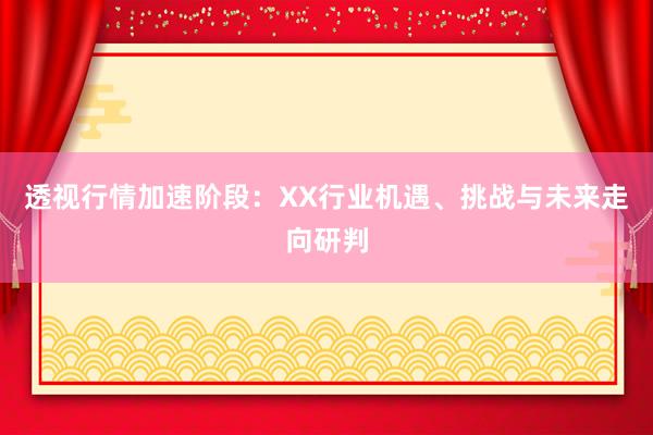 透视行情加速阶段：XX行业机遇、挑战与未来走向研判