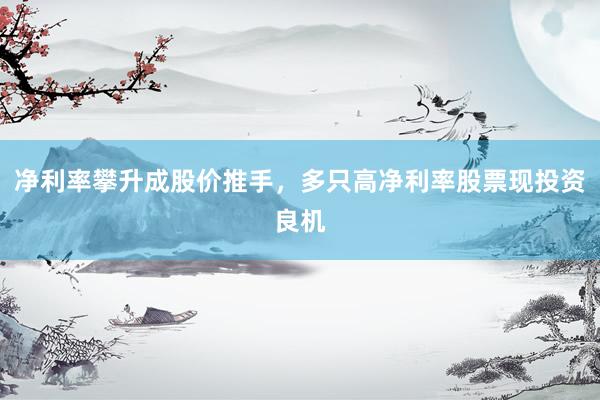 净利率攀升成股价推手，多只高净利率股票现投资良机