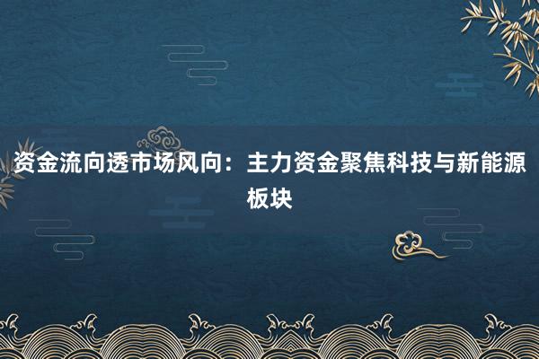资金流向透市场风向：主力资金聚焦科技与新能源板块