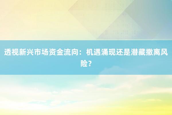 透视新兴市场资金流向：机遇涌现还是潜藏撤离风险？