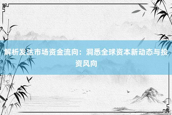 解析发达市场资金流向：洞悉全球资本新动态与投资风向