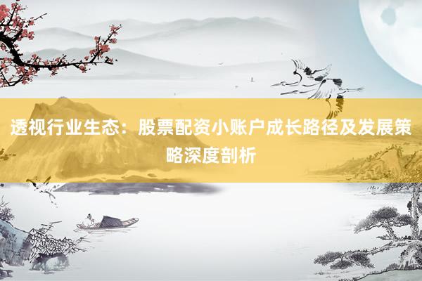 透视行业生态：股票配资小账户成长路径及发展策略深度剖析