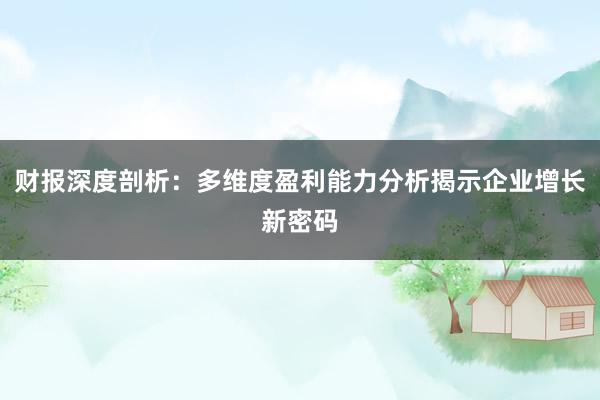 财报深度剖析：多维度盈利能力分析揭示企业增长新密码