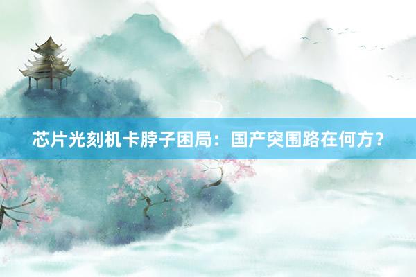 芯片光刻机卡脖子困局：国产突围路在何方？
