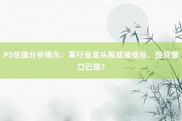 PS估值分析揭示：某行业龙头股或被低估，投资窗口已现？