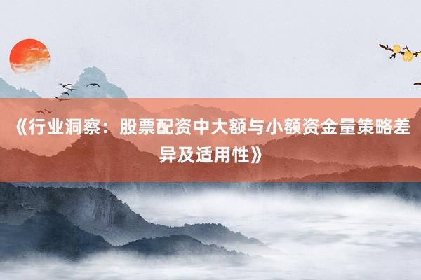 《行业洞察：股票配资中大额与小额资金量策略差异及适用性》