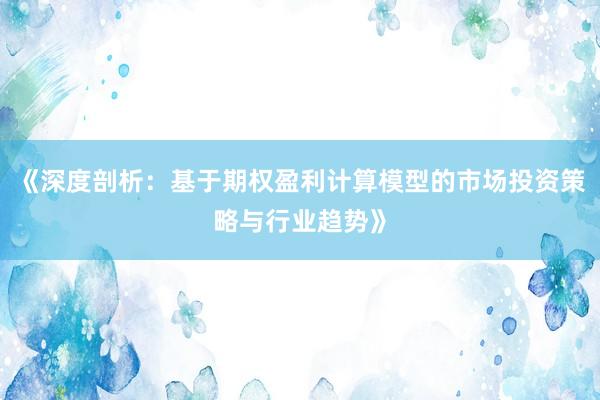 《深度剖析：基于期权盈利计算模型的市场投资策略与行业趋势》