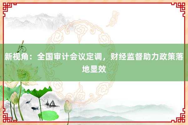 新视角：全国审计会议定调，财经监督助力政策落地显效