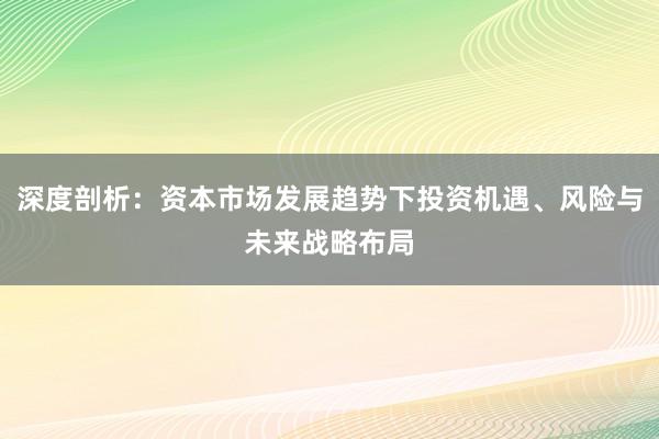 深度剖析：资本市场发展趋势下投资机遇、风险与未来战略布局