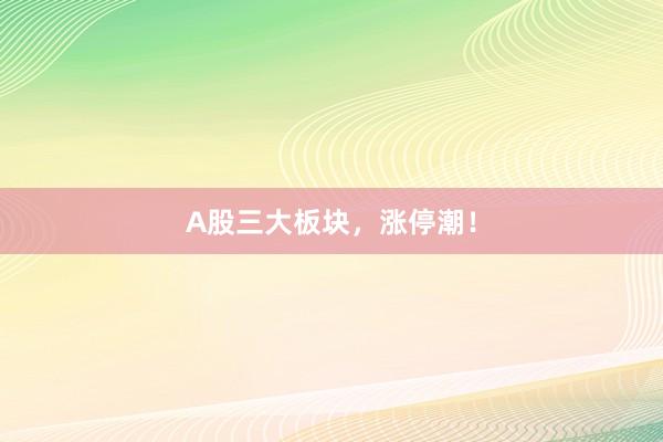 A股三大板块，涨停潮！
