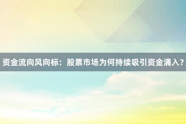 资金流向风向标：股票市场为何持续吸引资金涌入？